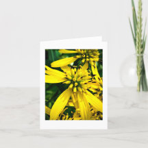 Wing stem - Card