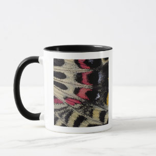 Wing underside close-up Bhutanitis mansfieldi Mug