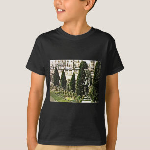 Winged Angel Statue Bath England 1986 snap-11737a T-Shirt