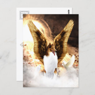 Winged Collie Angel in Dog's Heaven Postcard