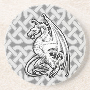 Winged Dragon Coaster