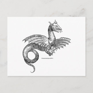 Winged Dragon or Wyvern Postcard