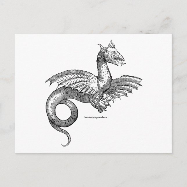 Winged Dragon or Wyvern Postcard (Front)