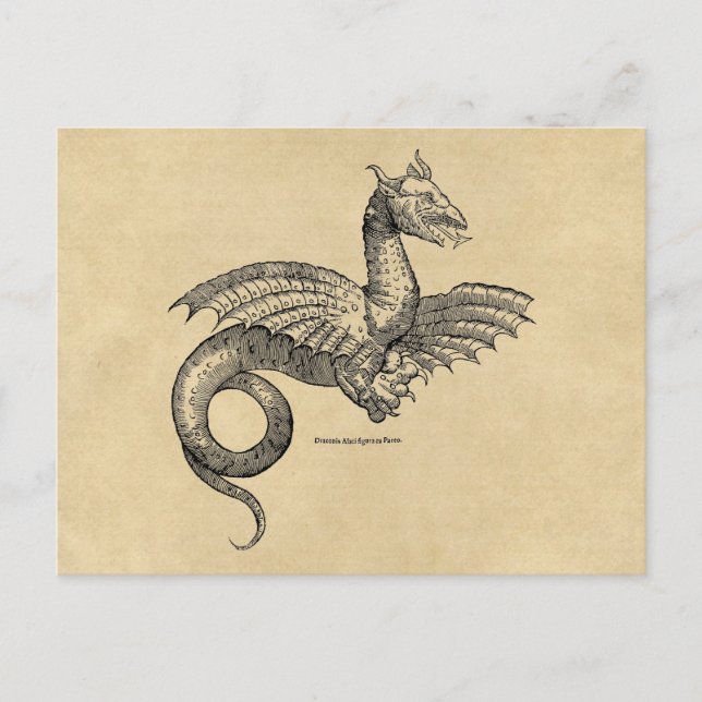 Winged Dragon Sepia Postcard (Front)
