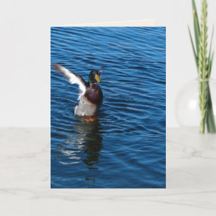 Winged Duck, Blank Greeting Card