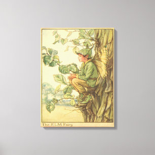 Winged Elm Fairy Sitting in a Tree Canvas Print