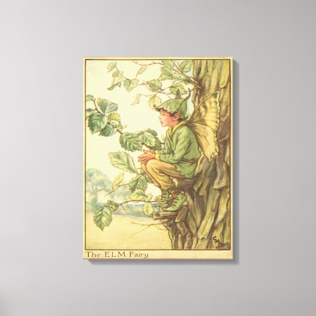 Winged Elm Fairy Sitting in a Tree Canvas Print (Front)