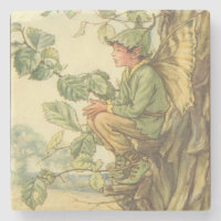 Winged Elm Fairy Sitting in a Tree