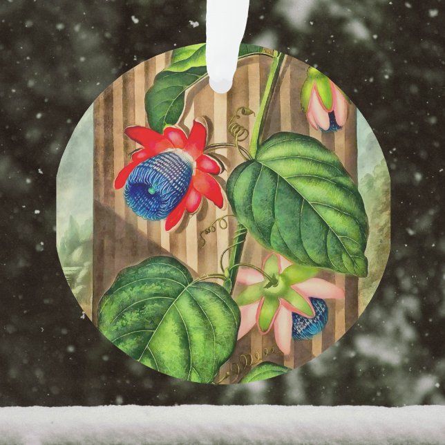 Winged Passion-Flower Temple of Flora - Christmas Ornament (Creator Uploaded)