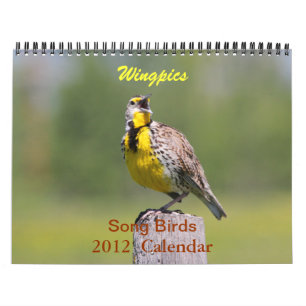 Wingpics 2012 Song Birds Calendar