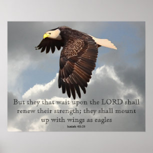 WINGS AS EAGLES POSTER