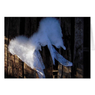 Wings & Lace - Blank Card