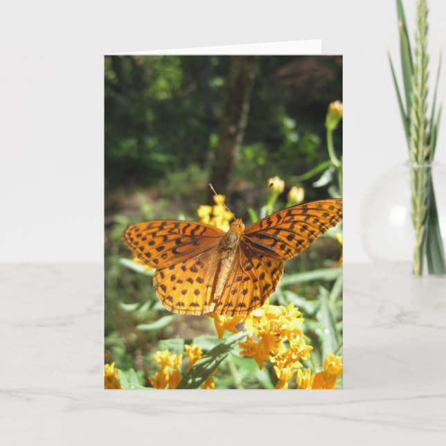 Wings of Curiosity (3) Greeting Card (Front)