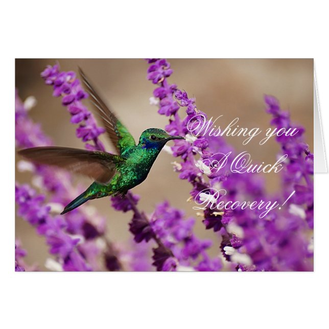 Wings of Faith Sparkling Violet-ears Hummingbird (Front Horizontal)