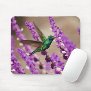 Wings of Faith Sparkling Violet-ears Hummingbird Mouse Mat