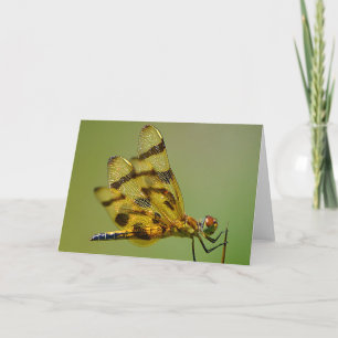 Wings Of Gold Dragonfly Note Card