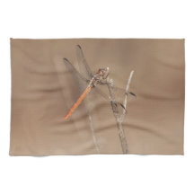 Wings of Gold Dragonfly