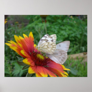 Wings of Grace (4) Poster