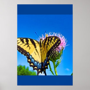 Wings of Love  Poster