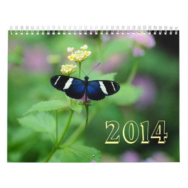Wings of Wonderment Butterfly Calendar (Cover)