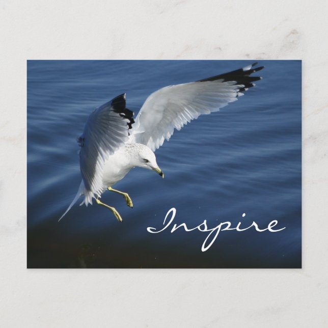 Wings Over Pennsylvania Post Card (Front)