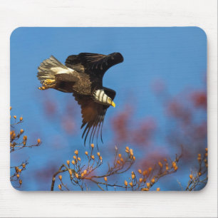 Wingshadow Mouse Mat