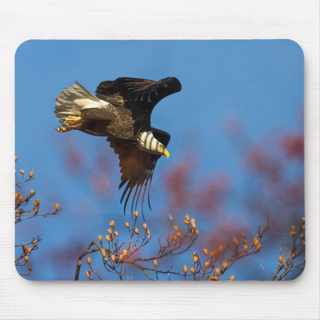 Wingshadow Mouse Mat (Front)