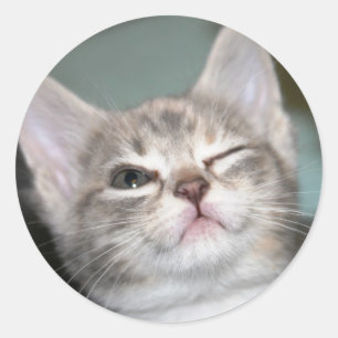 *wink* classic round sticker