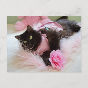 Wink for pink Postcard