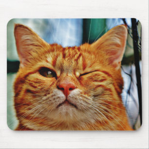 Wink kitty mouse mat