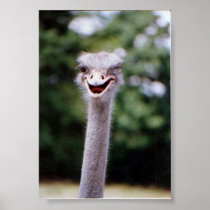 Wink Wink Poster