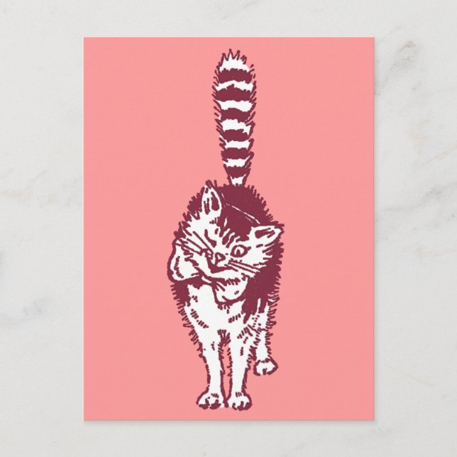 Winking Cat with Bushy Striped Tail Postcard (Front)