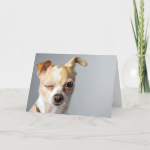Winking Chihuahua Greeting Card