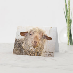 winking goat for humourous birthday card