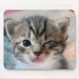 winking kitten mouse mat