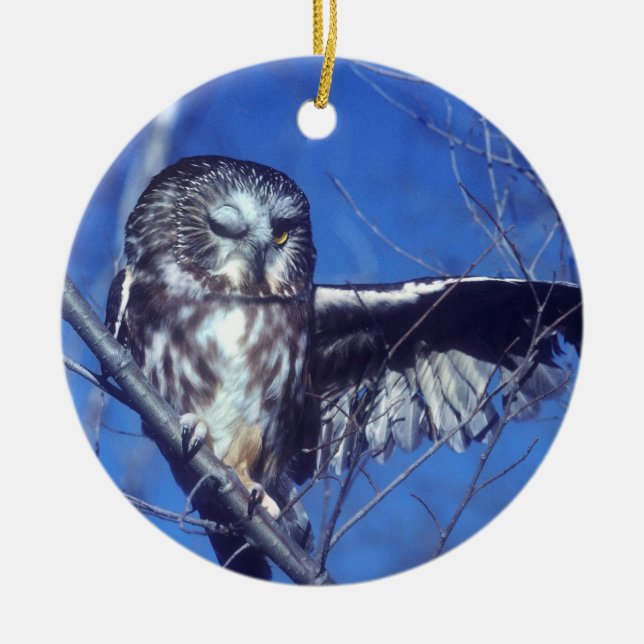 Winking owl ceramic tree decoration (Front)