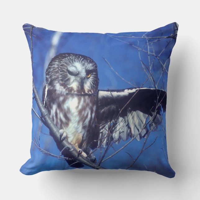 Winking owl cushion (Front)