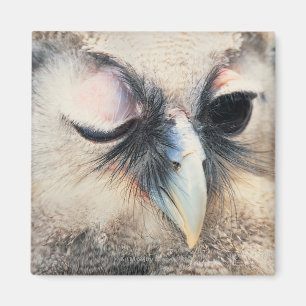 Winking Owl Magnet