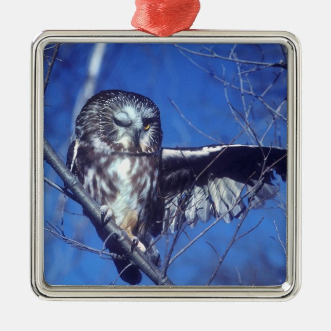 Winking owl metal tree decoration (Front)