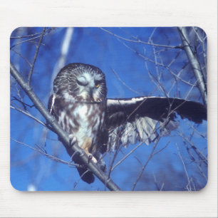 Winking owl mouse mat