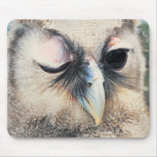 Winking Owl Mouse Mat