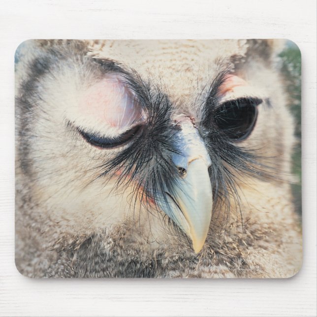 Winking Owl Mouse Mat (Front)