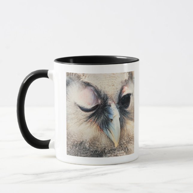 Winking Owl Mug (Left)