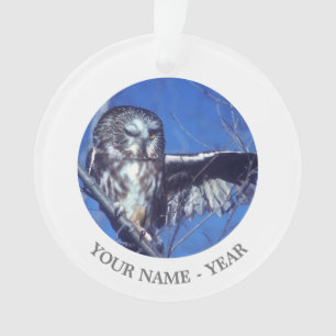 Winking owl ornament