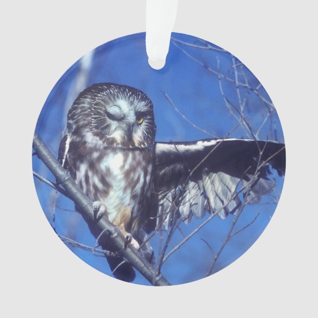 Winking owl ornament (Front)