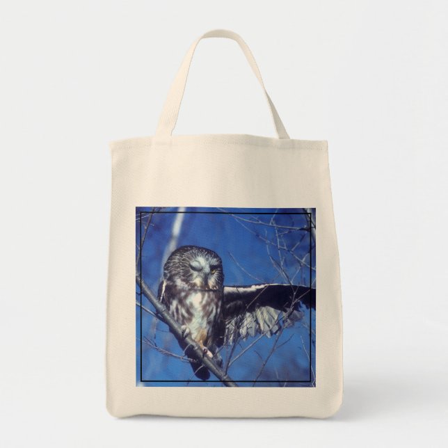Winking owl tote bag (Front)
