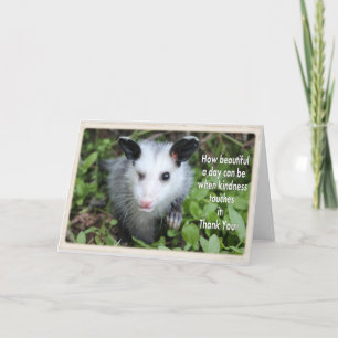Winking possum thank you card.
