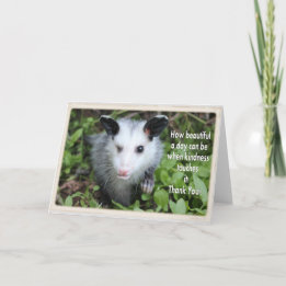 Winking possum thank you card. card