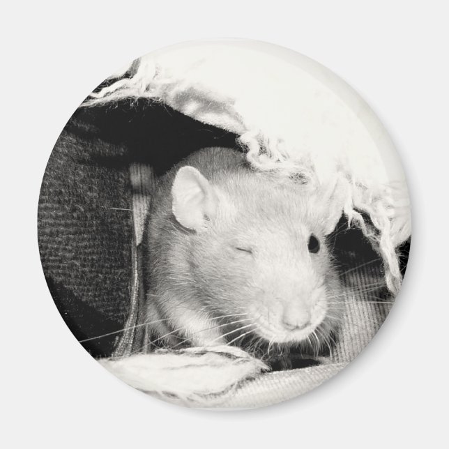 Winking Rat Magnet (Front)