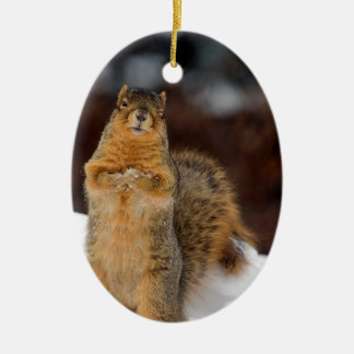 Winking Squirrel Ceramic Tree Decoration